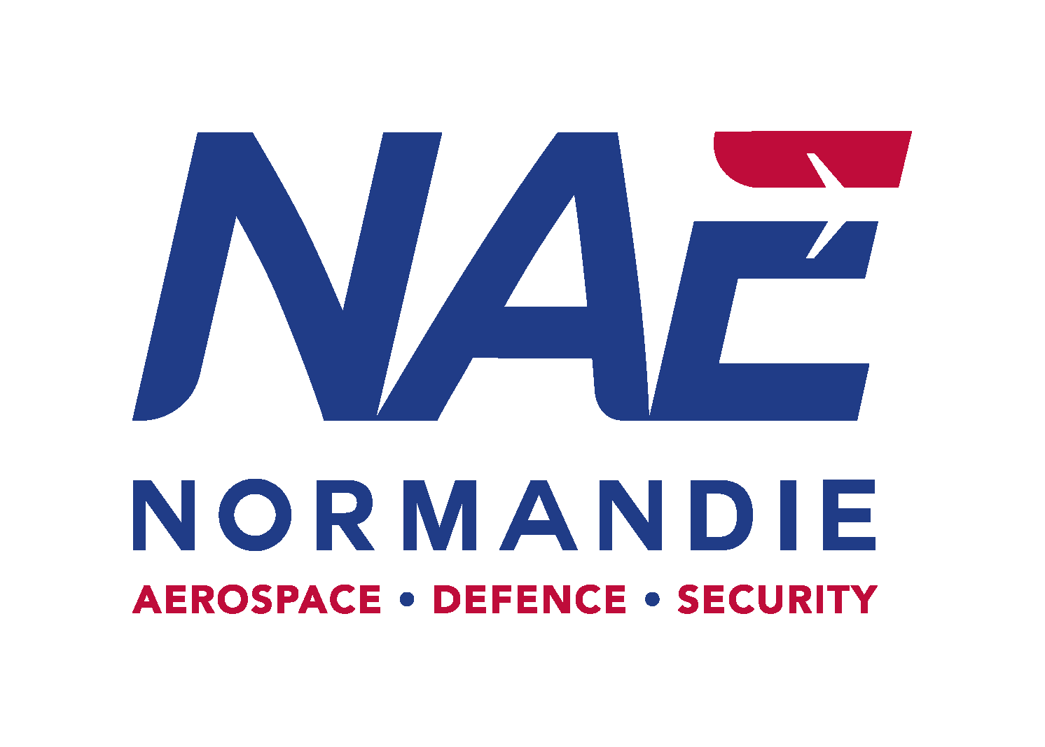 logo_NAE